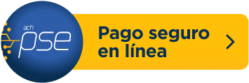 Pago seguro en linea