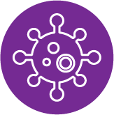 virus virus